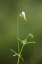 BUITEN BEELD Foto: 441396