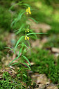 BUITEN BEELD Foto: 441397