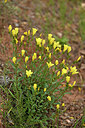 BUITEN BEELD Foto: 441399