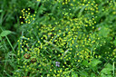 BUITEN BEELD Foto: 441400