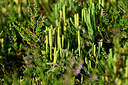 BUITEN BEELD Foto: 441401