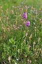 BUITEN BEELD Foto: 441402