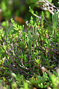 BUITEN BEELD Foto: 441403