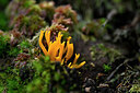 BUITEN BEELD Foto: 441404