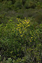 BUITEN BEELD Foto: 441406