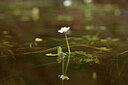 BUITEN BEELD Foto: 441408