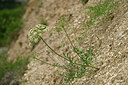 BUITEN BEELD Foto: 441410