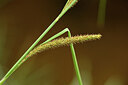 BUITEN BEELD Foto: 441420
