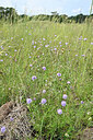 BUITEN BEELD Foto: 441425