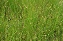 BUITEN BEELD Foto: 441435