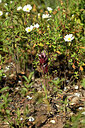 BUITEN BEELD Foto: 441437
