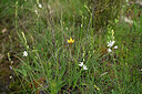 BUITEN BEELD Foto: 441438