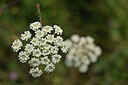 BUITEN BEELD Foto: 441440
