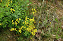BUITEN BEELD Foto: 441444