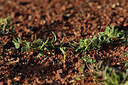 BUITEN BEELD Foto: 441445