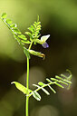 BUITEN BEELD Foto: 441446