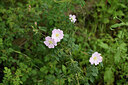 BUITEN BEELD Foto: 441449