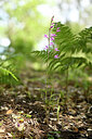 BUITEN BEELD Foto: 441457