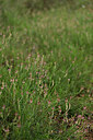 BUITEN BEELD Foto: 441460