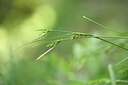 BUITEN BEELD Foto: 441462