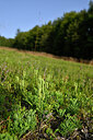 BUITEN BEELD Foto: 441464