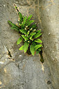 BUITEN BEELD Foto: 441469
