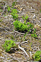 BUITEN BEELD Foto: 441473