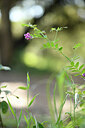 BUITEN BEELD Foto: 441475