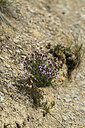 BUITEN BEELD Foto: 441490