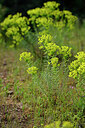BUITEN BEELD Foto: 441491