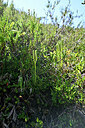 BUITEN BEELD Foto: 441495