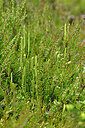 BUITEN BEELD Foto: 441496