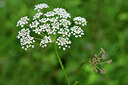 BUITEN BEELD Foto: 441498