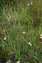 BUITEN BEELD Foto: 441500