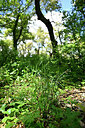 BUITEN BEELD Foto: 441503