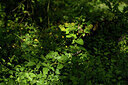 BUITEN BEELD Foto: 441510