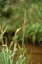 BUITEN BEELD Foto: 441511