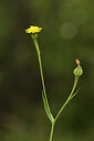 BUITEN BEELD Foto: 441513