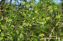 BUITEN BEELD Foto: 441519