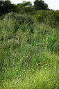 BUITEN BEELD Foto: 441522