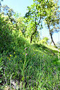 BUITEN BEELD Foto: 441529