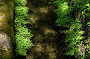BUITEN BEELD Foto: 441533