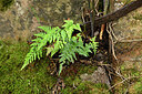 BUITEN BEELD Foto: 441537