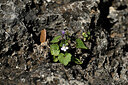 BUITEN BEELD Foto: 441543