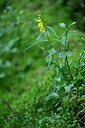BUITEN BEELD Foto: 441546