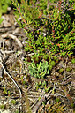 BUITEN BEELD Foto: 441552