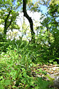 BUITEN BEELD Foto: 441554
