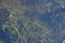 BUITEN BEELD Foto: 441555