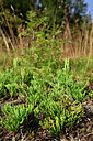 BUITEN BEELD Foto: 441560