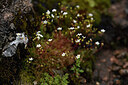BUITEN BEELD Foto: 441562